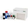Anti-SARS-CoV-2 ELISA (IgG) набор реагентов для определения антител IgG к коронавирусу SARS-CoV-2 ИФА-методом